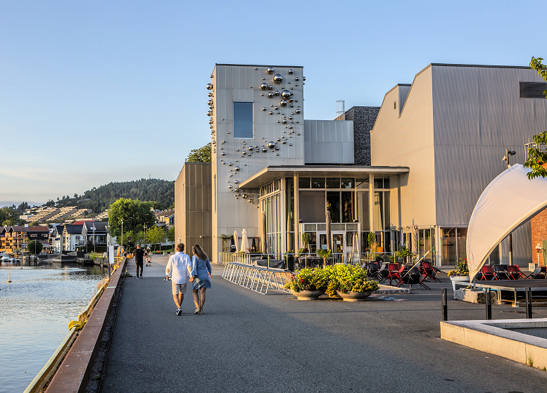 Ælvespeilet strømmer Norske Kulturhus’ digitale fagseminar