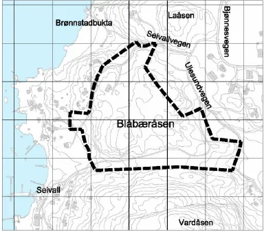 Blåbæråsen Hytteområde (1)