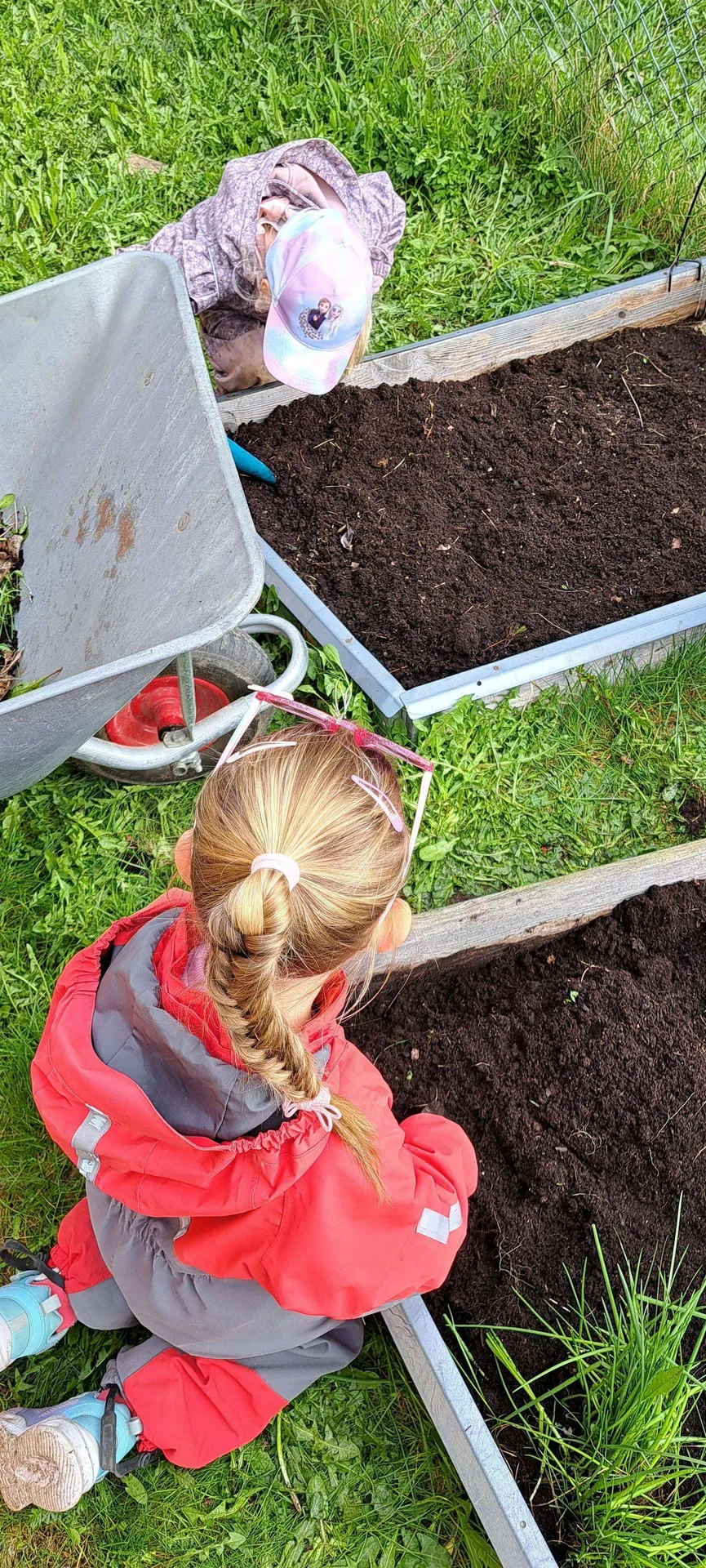 Planting I Kjøkkenhagen