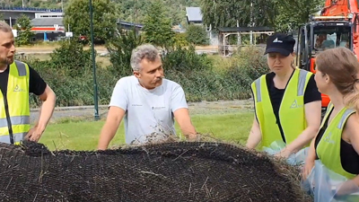Insektene kan ikke leve på luft og kjærlighet