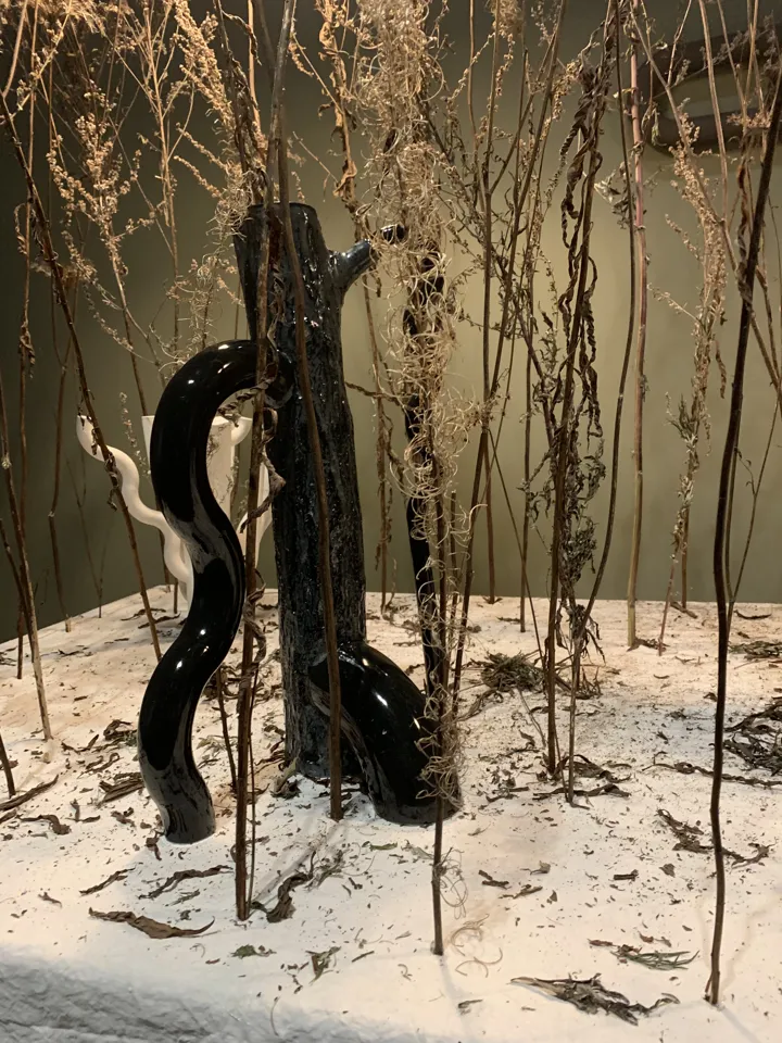 IMG 1468