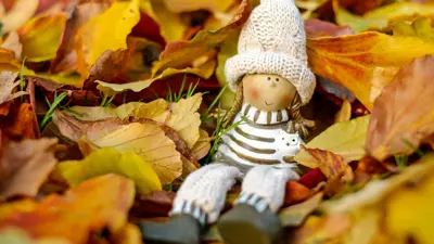 Høstferieaktiviteter