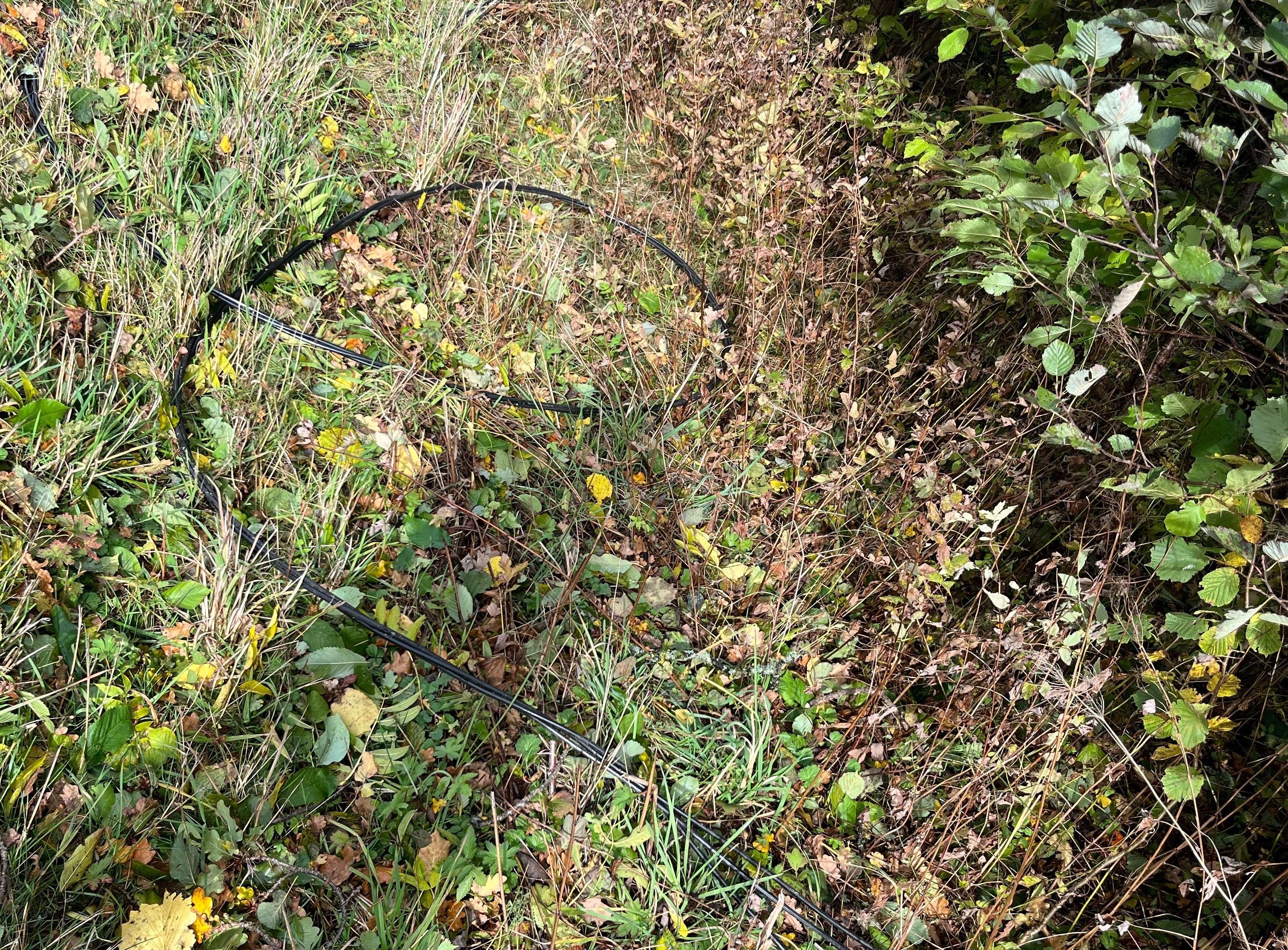 Viktig melding fra nettselskapet Lede etter ekstremværet Amy