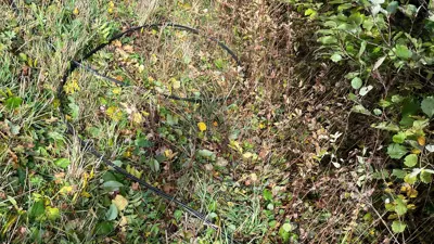 Viktig melding fra nettselskapet Lede etter ekstremværet Amy