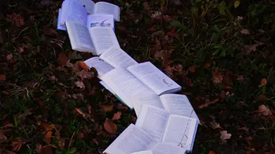 Porsgrunn blir friby