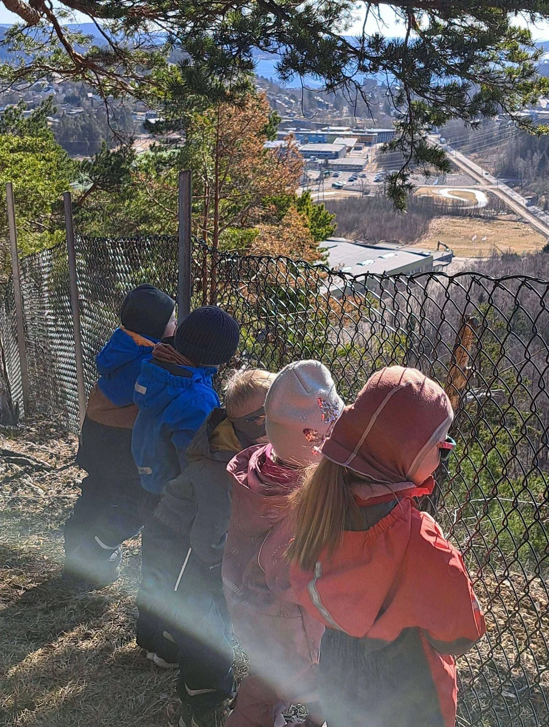 Friluftsgruppa På Tur Utsikt