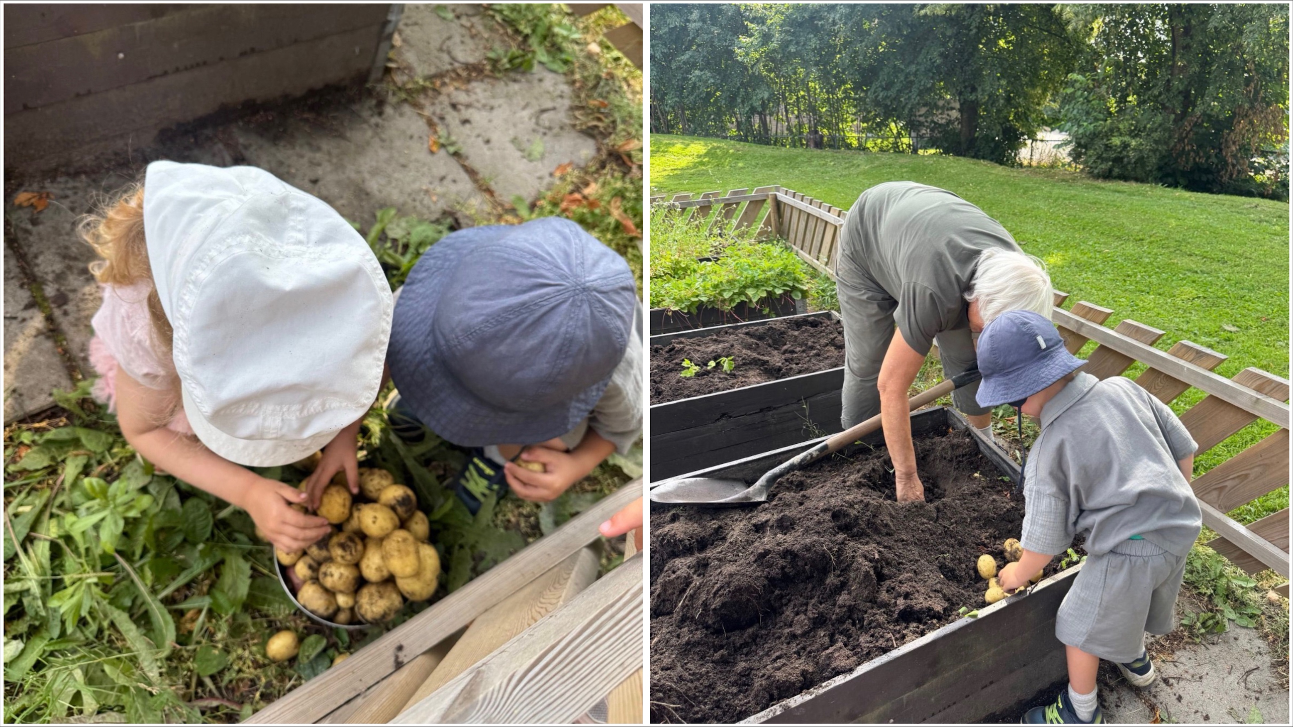 Processed 49F99574 0238 4A22 BA95 8D968D79C014