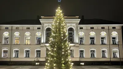 Jakten på Porsgrunns juletrær er i gang