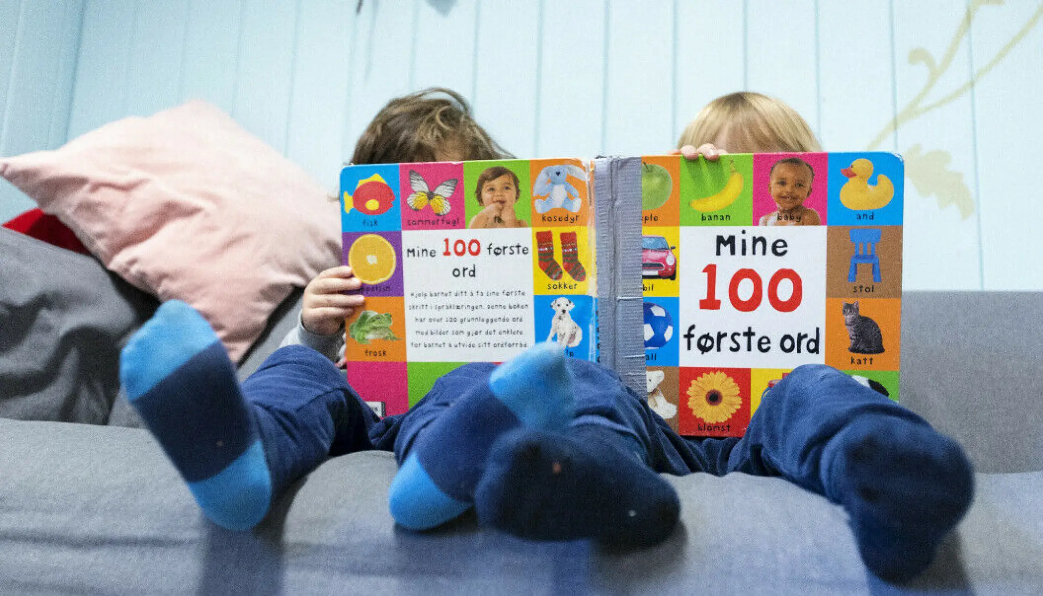 Barnehagens Satsningsområde