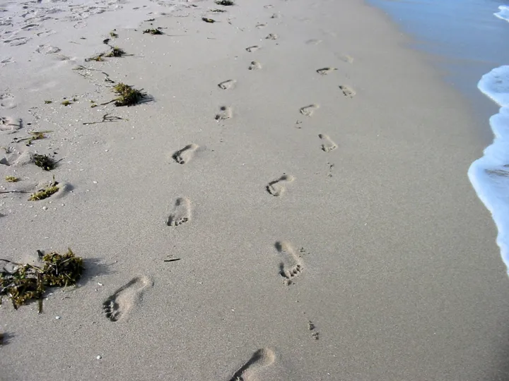 Kunstige Sandstrender