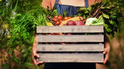 Bybonde til Porsgrunn – kan det bli en realitet?