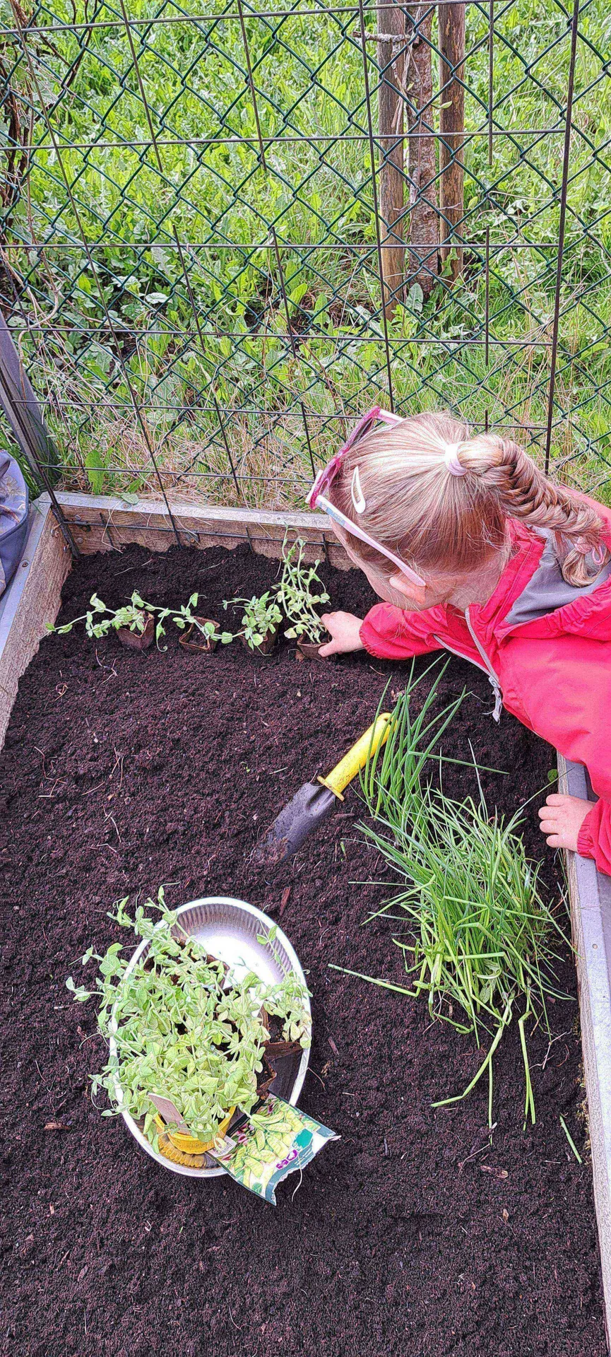 Planting I Kjøkkenhagen 2