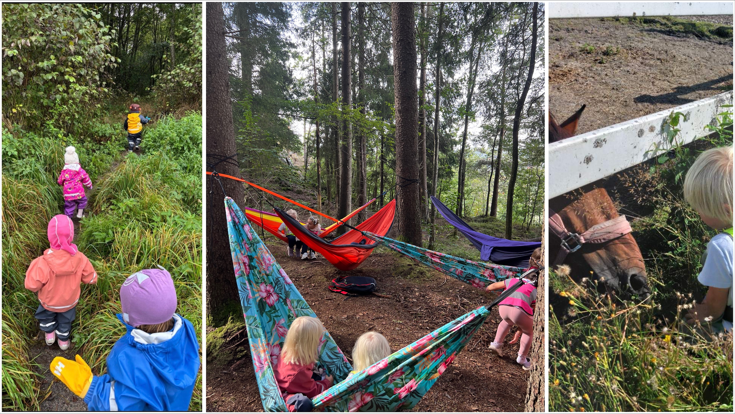 Processed 3A663B88 AFE6 4B8D A3F7 73E3E6B8CB8C (1)