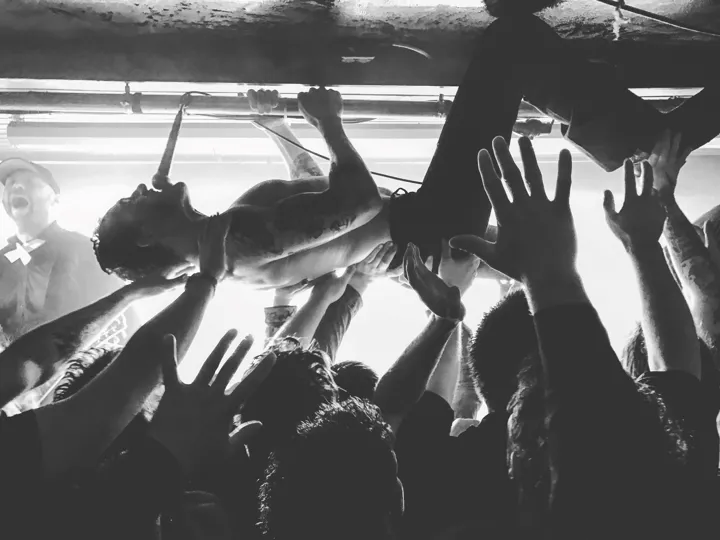 Dogs Rip Maxemanuelsen